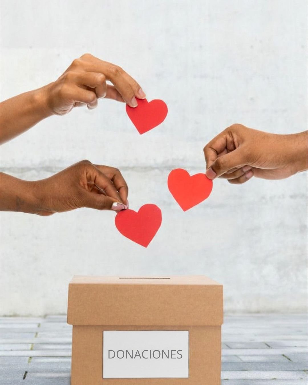 Entrega de ayuda y donaciones comunitarias